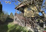 Sommerfrische in der beliebten Badesiedlung in Altenberg genießen