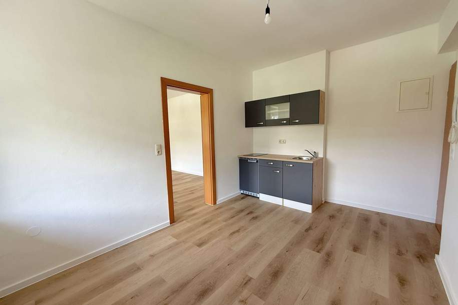 Neu renovierte Singlewohnung in Kapfenberg zu vergeben!, Wohnung-miete, 391,50,€, 8605 Bruck-Mürzzuschlag