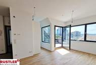 Extravagant - Dachterrasse - Wienblick