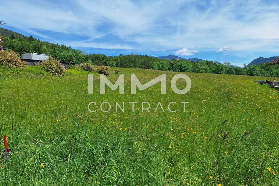 Zwischen Attersee und Mondsee, Grund und Boden-kauf, 498.000,€, 4866 Vöcklabruck