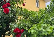 LAGE! LAGE! LAGE! Modernes, lichtdurchflutetes Einfamilienhaus in St. Anna am Aigen! Der Inbegriff von Lebensqualität!