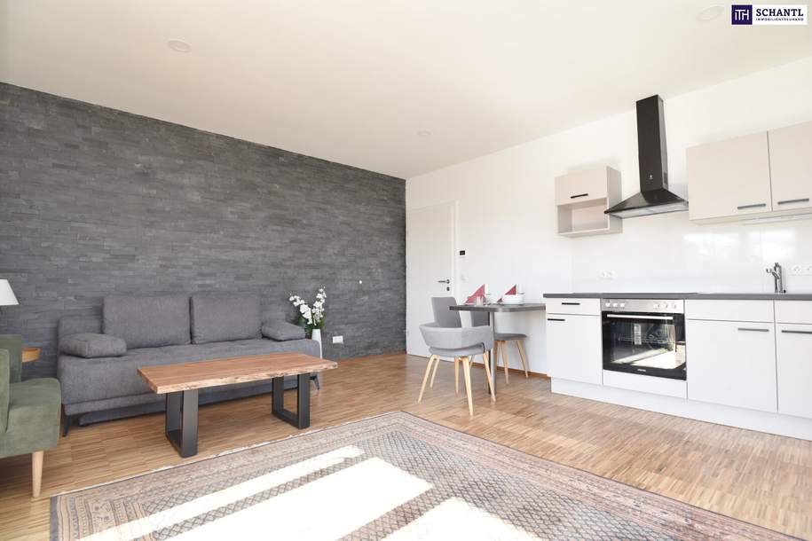 ERSTBEZUG - Moderne zwei Zimmerwohnung mit kompletter Ausstattung und Traumaussicht in die Weinberge zu mieten! 3D-Rundgang vorhanden!, Wohnung-miete, 924,00,€, 8113 Graz-Umgebung
