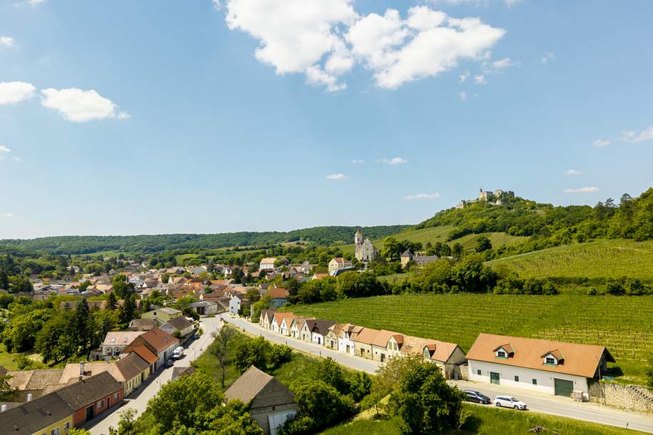 Traumhaftes Einfamilienhaus mit Vinothek im Herzen des Weinviertels, Haus-kauf, 498.000,€, 2162 Mistelbach