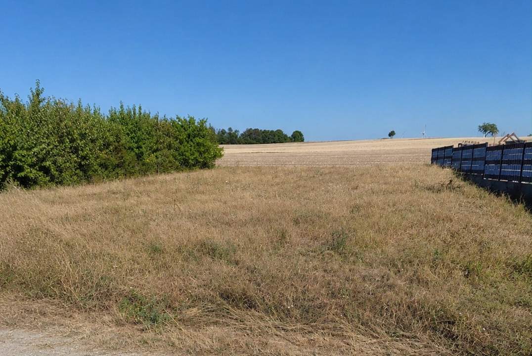 Traditionelles Weinviertel in hervorragender Nähe zu Wien