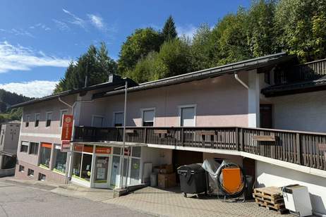 Ertragsliegenschaft gemischt mit Gewerbe und Wohnungseigentum - RENDITE 8,8 %, Gewerbeobjekt-kauf, 299.000,€, 4184 Rohrbach