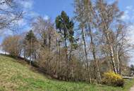 Unverbaubare Fernsicht! 1.531 m² großes Hang-Baugrundstück OHNE Bauzwang und OHNE Bebauungsplan in Steusiedlung am Land!