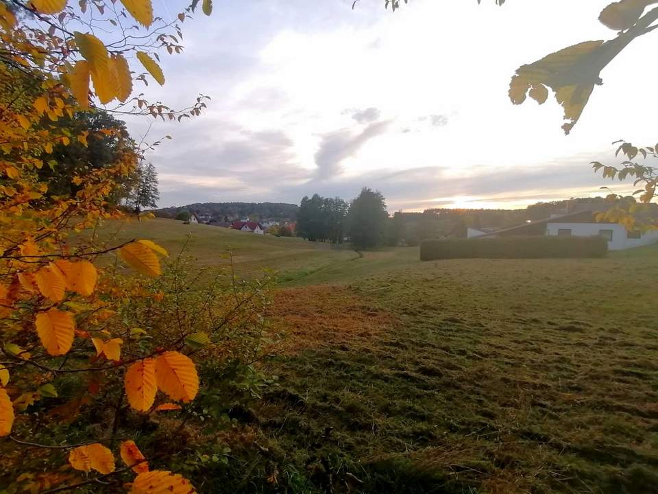 Viel Platz für Ihren Wohntraum in Pischelsdorf am Kulm (Provisionsfrei)