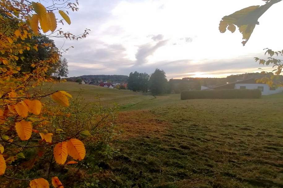 Viel Platz für Ihren Wohntraum in Pischelsdorf am Kulm (Provisionsfrei), Grund und Boden-kauf, 128.000,€, 8212 Weiz