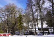 Wohnen am Fuße der Burg Hochosterwitz -Neubauwohnung mit Garten in Launsdorf