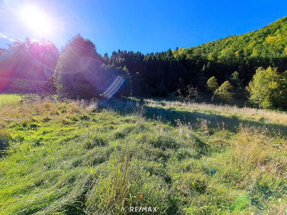 Großzügiges Baugrundstück in Reichraming