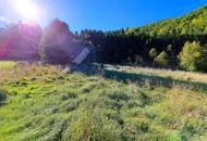 Großzügiges Baugrundstück in Reichraming