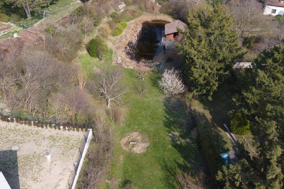 "Exklusives Refugium mit Biotop & 3.000 qm Gartenparadies!", Haus-kauf, 1.890.000,€, 2344 Mödling