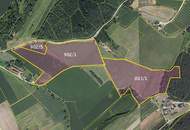 Bad Waltersdorf: Weinberge, Ackerflächen und Wald für experimentierfreudige Winzer oder Landwirte mit Vision