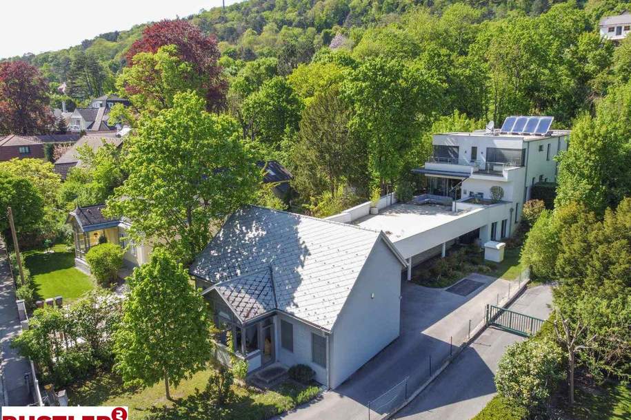 Modernes Einfamilienhaus: Eleganz trifft auf zeitlosen Charme, Haus-kauf, 2.290.000,€, 2371 Mödling