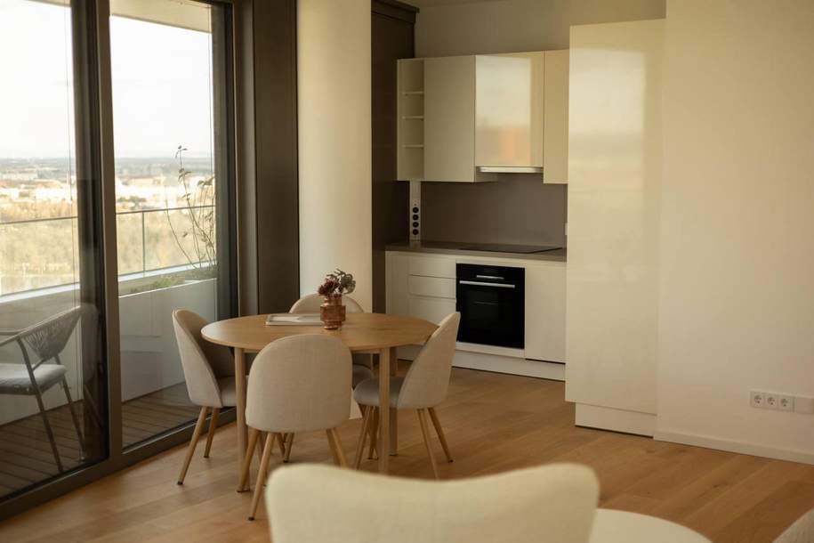 "DANUBE FLAT möbliertes 2 Zimmer Apartment ", Wohnung-miete, 2.200,00,€, 1220 Wien 22., Donaustadt