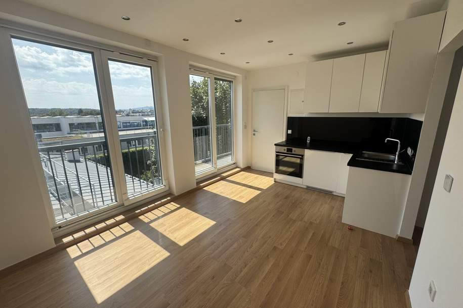 Helle 3-Zimmer-Wohnung in 1140 Wien, Wohnung-kauf, 320.000,€, 1140 Wien 14., Penzing