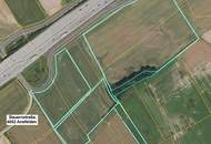 Grünland FÜR Ackerbau mit einer leichten Widmungsfantasie 17 Hektar