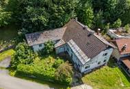 Altbestand mit bezauberndem Blick auf Schloss und Berge