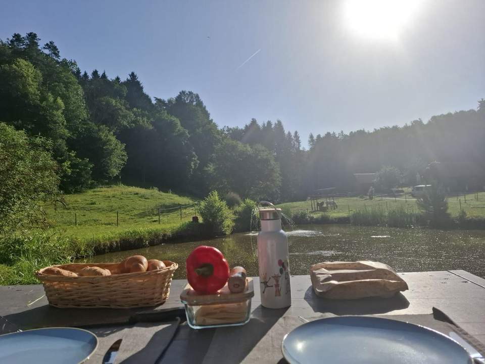 Pachtfläche in Ruhelage mit Gartenhäuschen und Teich