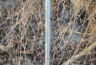 Großer, ebener Baugrund, bebaubar 0,2 - 0,4