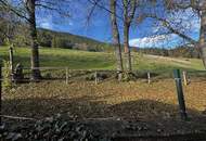 Wohlfühlen mit Weitblick in naturnaher Ruhelage