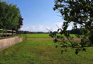 Weiler-Lage! Ein-/Mehrfamilienhaus mit 2 Garagen und Werkstätte - Wolfern / inmitten ebener Grünlandschaft