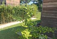 Haus mit Garten und Terrasse am Römersee (Provisionsfrei)