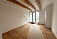 Purer Luxus auf zwei Etagen - exklusive Eigentumswohnung und Badener Stadtvilla