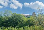 AKTIONSPREIS! Exklusive Doppelhaushälften inkl. Terrasse/Garten + Balkon! TRAUMAUSBLICK auf Burg Liechtenstein! SCHLÜSSELFERTIG!