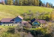 ALLEINLAGE - INTAKTE NATUR - HERRLICHE AUSSICHT - IHR TRAUM? GERNE BAUER?