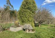 Provisionsfrei - Schönes Freizeitgrundstück mit Obstgarten