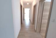 NEUBAUWOHNUNG zu mieten, ERSTBEZUG in 3061, Nähe Neulengbach
