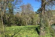 Platz für ein Einfamilien- oder Doppelhaus - Eigengrund am Ödberg in sonniger, grüner Umgebung