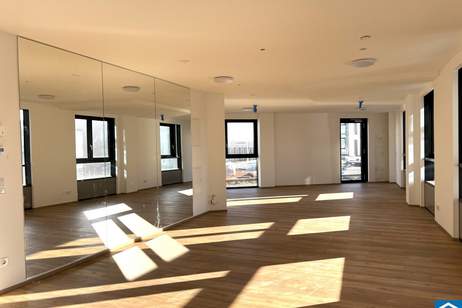 2 Zimmer Wohnung mit hochwertiger Ausstattung und Weitblick über Linz, Wohnung-miete, 790,00,€, 4020 Linz(Stadt)