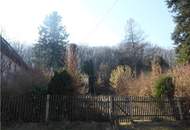 "Rarität in Mauerbach"