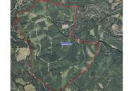 Forst und Jagdgebiet im Bezirk Wolfsberg