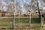 2 Zimmer Wohnung , +19 m² Kellerabteil im EG ,+Gemeinschaftsgarten von 1.270m²