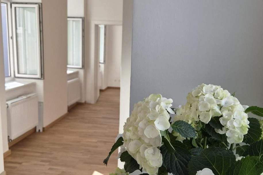 Studentenwohnung im beliebten Stuwerviertel nahe der WU Wien | Provisionsfrei! Freier Mietzins!, Wohnung-kauf, 285.000,€, 1020 Wien 2., Leopoldstadt