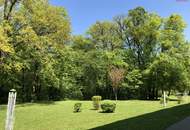 Ruhige Wohnidylle mit herrlichem Grünblick – lichtdurchflutete 3-Zimmer-Wohnung mit kleinem französischen Balkon und idealer Lage im Herzen von Münichholz!