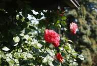 Ein Platz für neue Geschichten