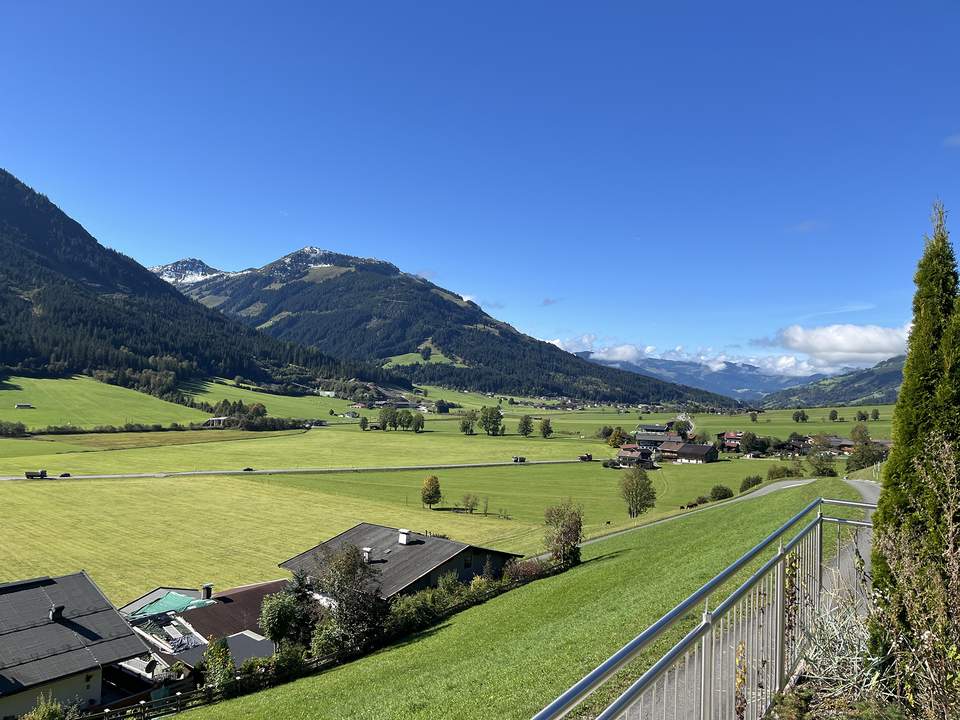 Grundstück mit Altbestand in sonniger Hang- & Ausblicklage