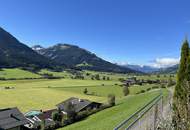 Grundstück mit Altbestand in sonniger Hang- & Ausblicklage