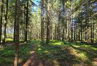 Landwirtschaftliche Fläche mit Waldgrundstück und Gebäude