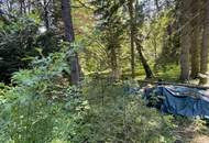 EINMALIG! Haus 300 Meter von der MITTELSTATION STUHLECK entfernt