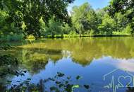 Naturparadies mit Fischteich, Fischerhütte und Wasserrechten - nahe Stadtschlaining