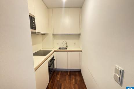 Helles Apartment in Döbling nahe dem Türkenschanzpark!, Wohnung-miete, 940,01,€, 1190 Wien 19., Döbling