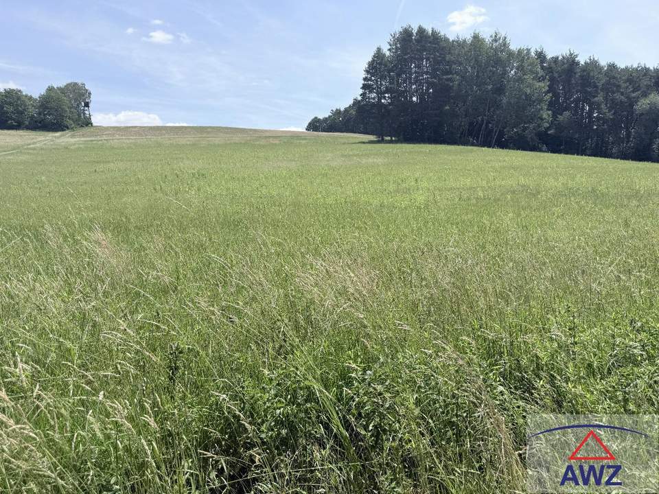 Landwirtschaftliche Flächen in der Nähe von Neuberg im Burgenland!