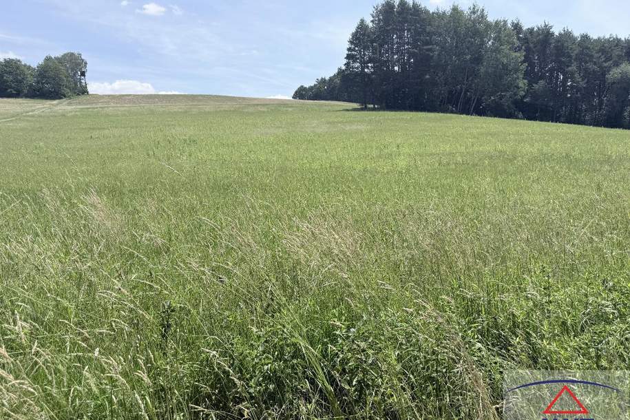 Landwirtschaftliche Flächen in der Nähe von Neuberg im Burgenland!, Grund und Boden-kauf, 7537 Güssing