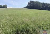 Landwirtschaftliche Flächen in der Nähe von Neuberg im Burgenland!