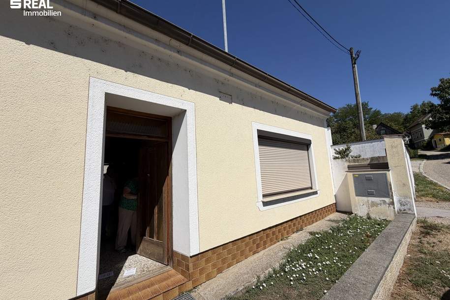 Haus in Loidesthal mit Terrasse, Garage und viel Potenzial zur Sanierung! Besichtigung am Freitag, 16.10.2026 von 14-16 Uhr, Terminreservierung erbeten!, Haus-kauf, 64.888,€, 2225 Gänserndorf